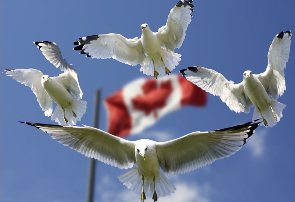 Canada Flag